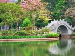 -四海公园(南山区)