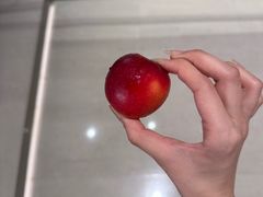 -曲水兰亭(北京四惠店)