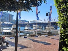 -I'm Angus Steakhouse