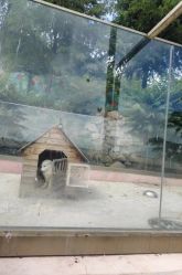 -童心园麦窑·儿童拓展探宝乐园
