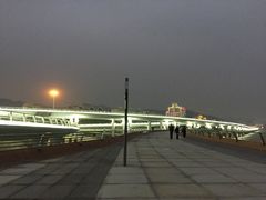 -演武大桥观景平台