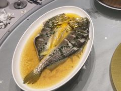 -颂福楼·南京菜(定淮门店)