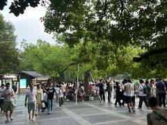 -西湖游船