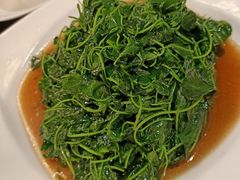 -新聚丰菜馆(太监弄店)