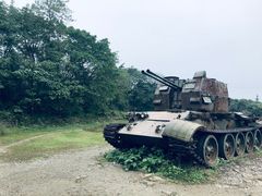 -铁山坪森林公园