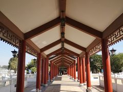 -长洲岛