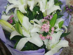 -卡吉诺动物奶油生日蛋糕(东明路店)