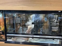 -酷以爬仙阁实体爬宠店·守宫·蜥蜴·专业繁育