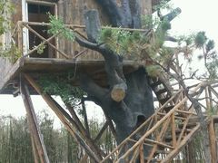 android_upload_pic-灵山莲花公园-温泉度假区