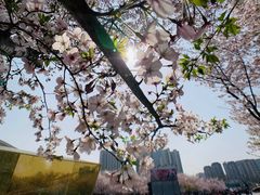 -龙美术馆(西岸馆)