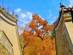 -河北村民俗体验园