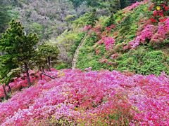 -木兰云雾山