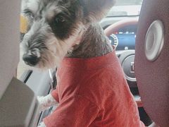 -瑞派宠物医院·犬猫全科·猫友好(宾水西道店)