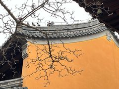 -灵谷景区