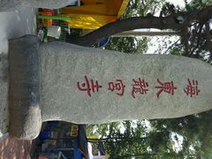 android_upload_pic-海东龙宫寺