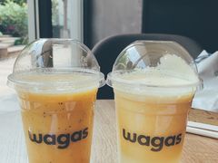 -Wagas沃歌斯(大学路店)