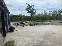 -南汇新场正宗水蜜桃采摘