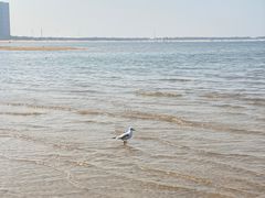 -山海广场