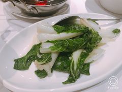 小白菜-峨嵋一派