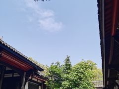 -桂湖森林公园