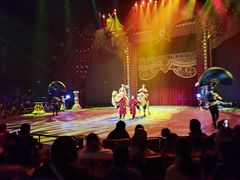 -珠海横琴长隆《卡卡虎奇遇记》