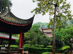 -峨眉山报国寺