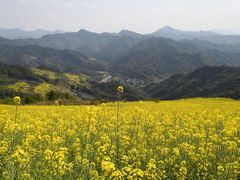 -石潭村