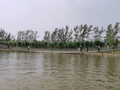 -杨柳青庄园