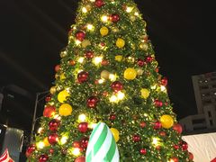 -KUB KAO' KUB PLA(Central World Plaza)