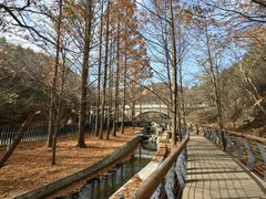 -白水寺森林公园