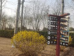-燕郊植物园
