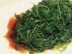 -喜来登由由大酒店九州膳坊中餐厅
