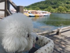 -南北湖风景区