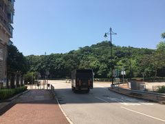 -挪亚方舟度假酒店