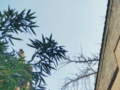 -胡氏古民居建筑