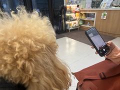 -爱妮康宠物医院·干细胞免疫细胞·肿瘤·心脏(张江店)