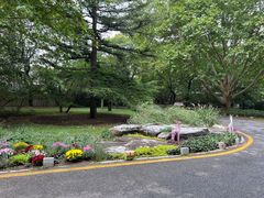 -北京动物园-畅观楼