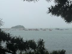 -青岛海滨风景区