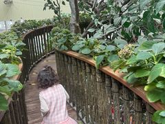 -正佳雨林生态植物园
