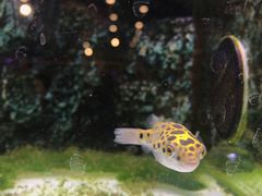 -龟与熊猫宠物公园(南坪店)