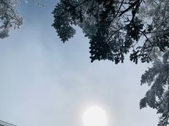 -西岭雪山大飞水景区