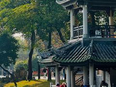 -荔湾湖公园
