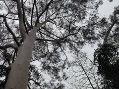 -柳侯公园