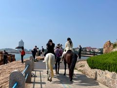 -青岛第二海水浴场