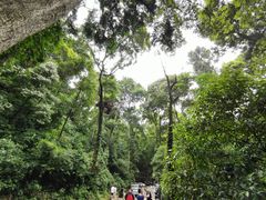 -凤栖山