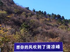 -浙西天池景区