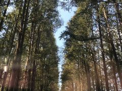 -滨海高尔夫俱乐部