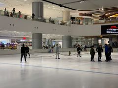 -TheRink大零溜冰场(IFS国金中心店)