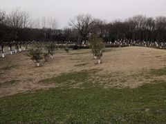 -七桥瓮公园