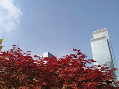 -两江幸福广场